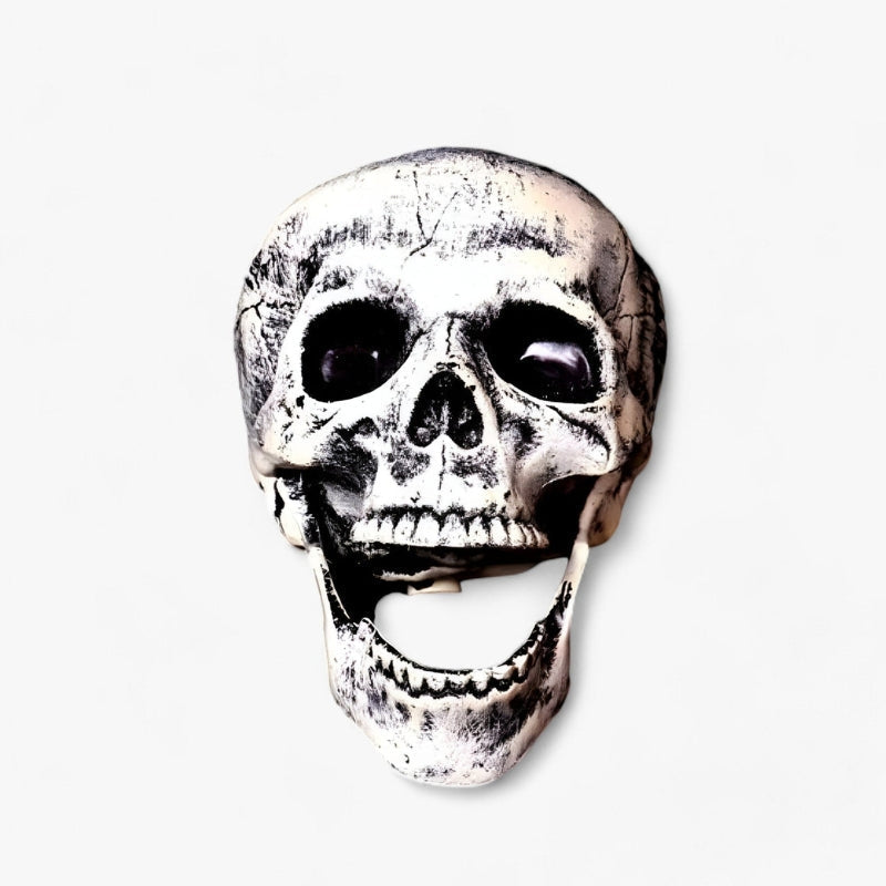 Décoration de squelette et crâne d'Halloween BoneChill – Ambiance effrayante pour fête et maison hantée