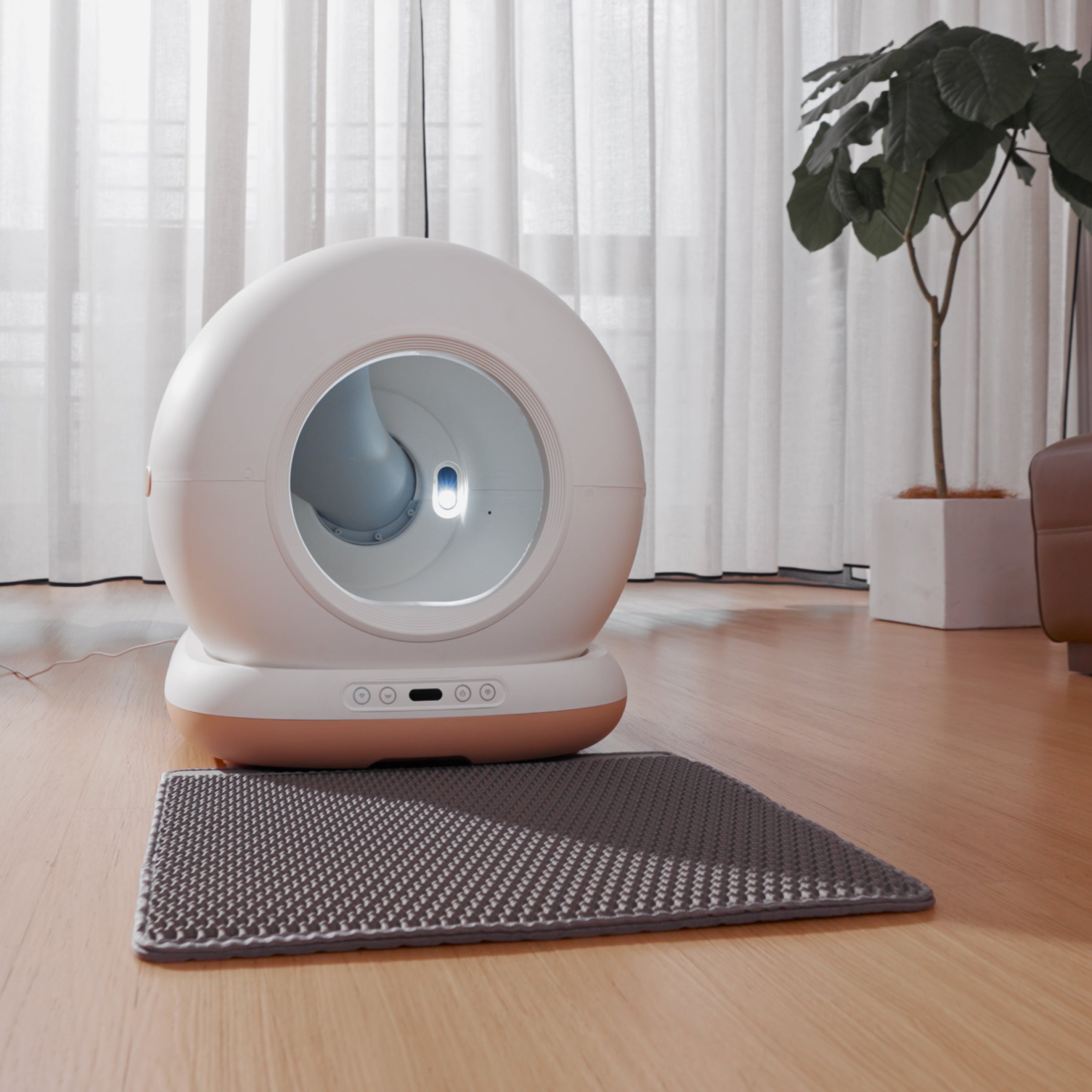 OrionCat - Système de litière intelligente pour chat