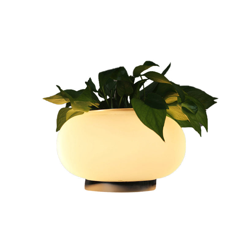 Floraluxe – Lampe de table ovale en verre