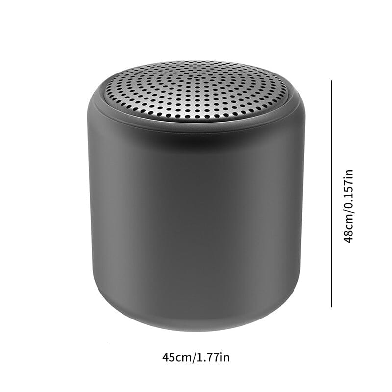 Haut-parleur Bluetooth portable