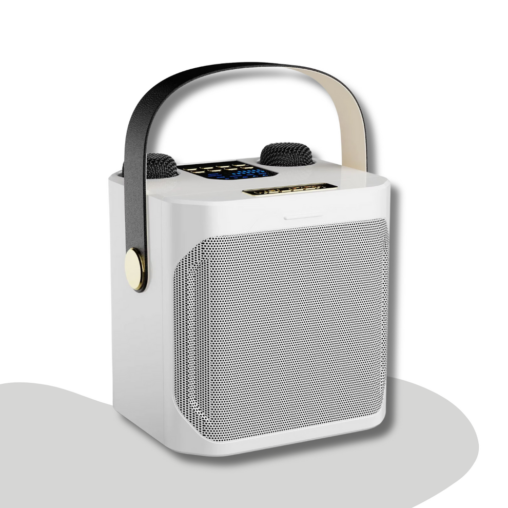 SingGo - Enceinte de karaoké portable avec microphones doubles et support pour téléphone