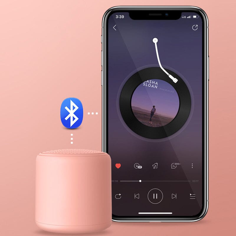 Haut-parleur Bluetooth portable