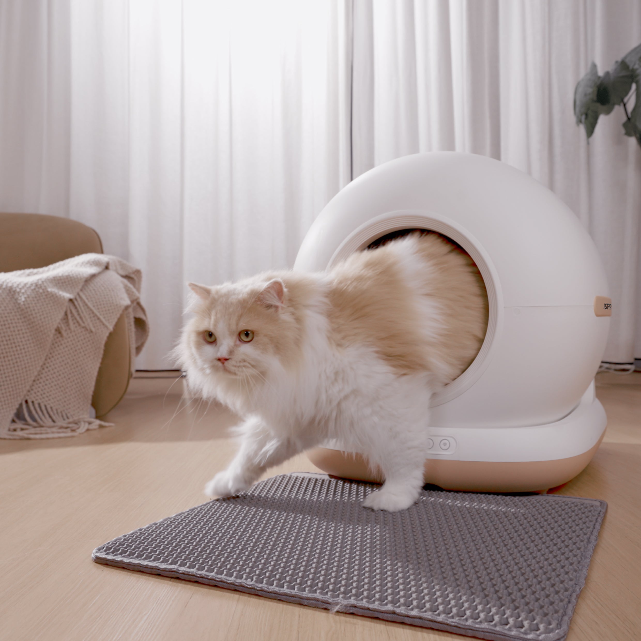 OrionCat - Système de litière intelligente pour chat