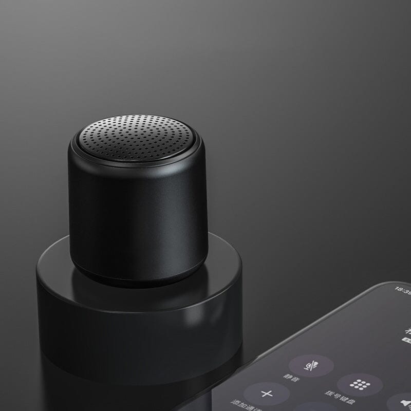 Haut-parleur Bluetooth portable