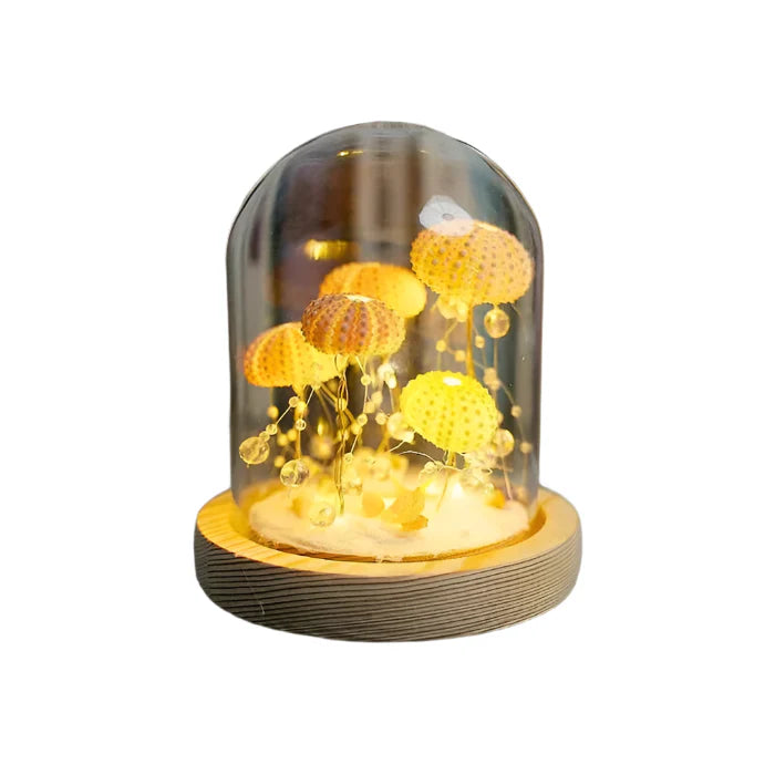 CoastalGlow - Lampe de nuit DIY Hérisson