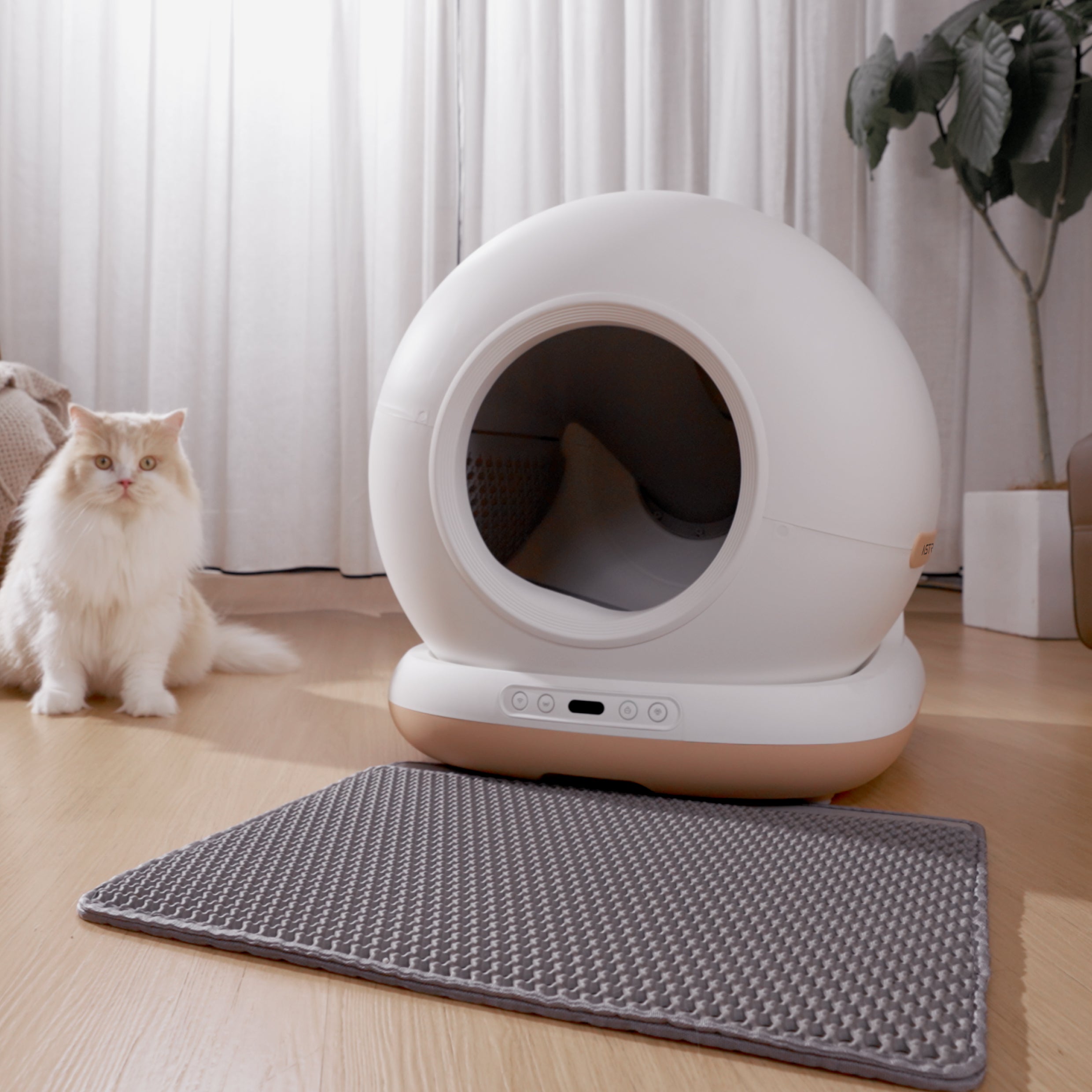 OrionCat - Système de litière intelligente pour chat