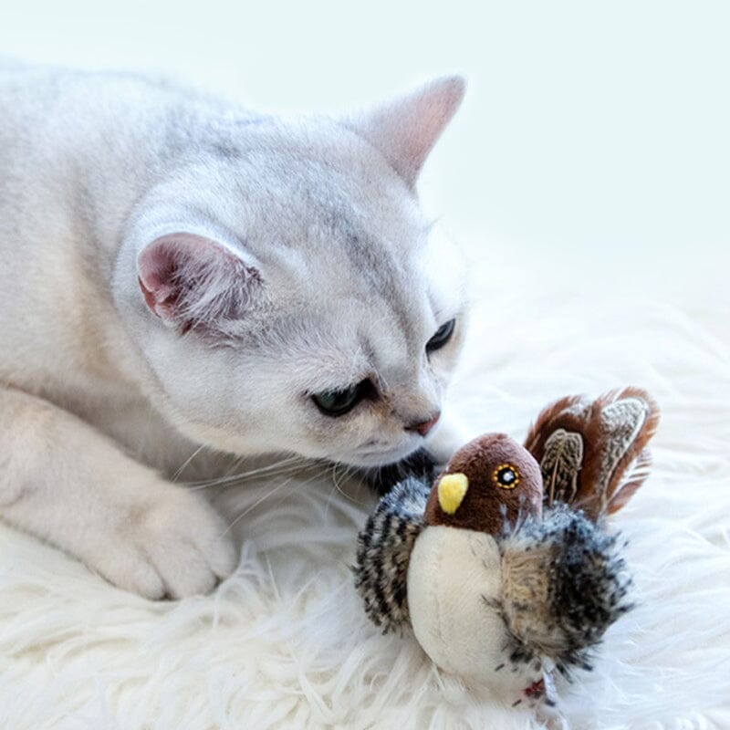 Jouet pour chat - Oiseau qui piaule en simulation