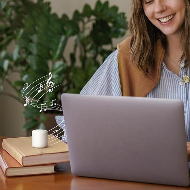 Haut-parleur Bluetooth portable