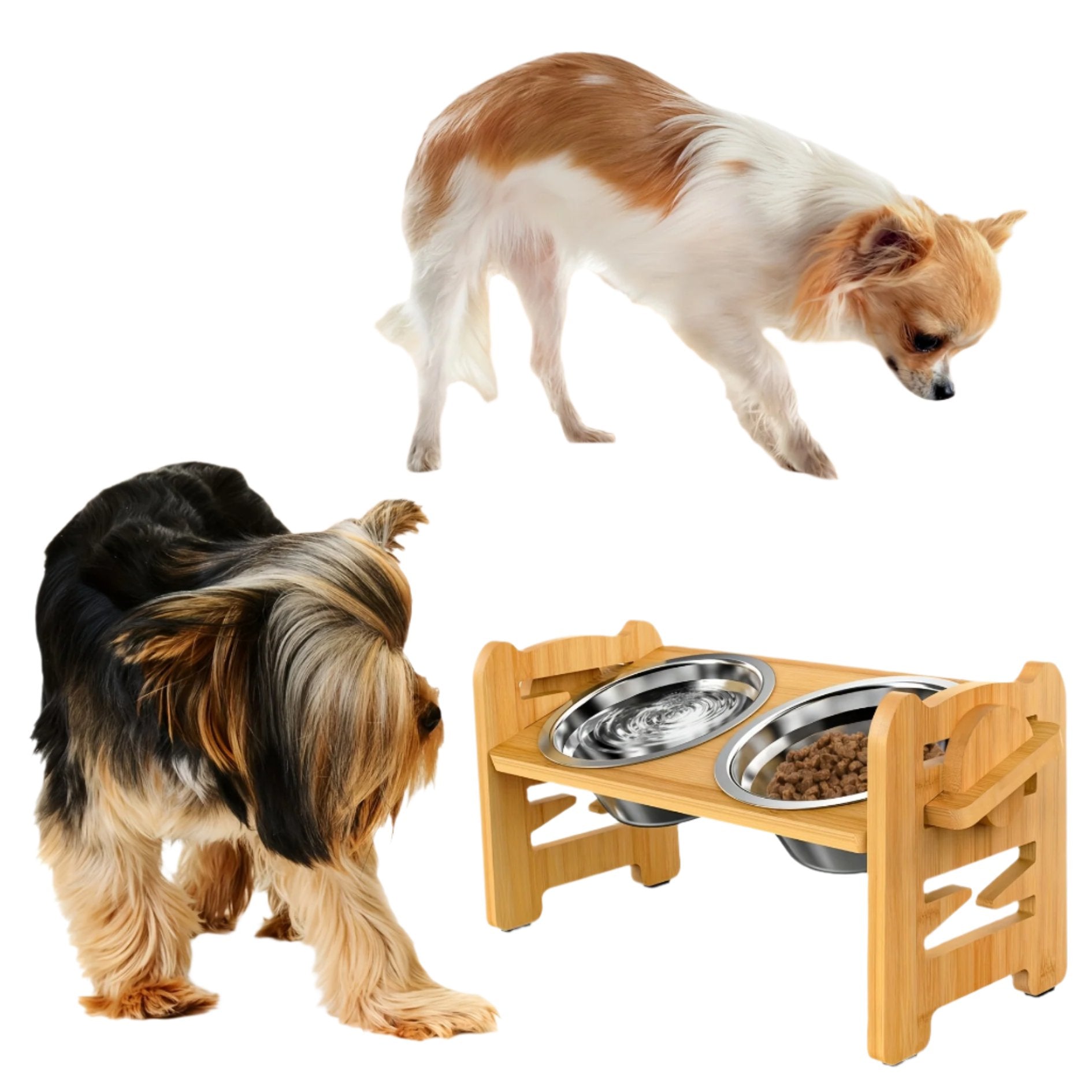 Support de nourriture pour chien surélevé anti-dérapant avec deux gamelles