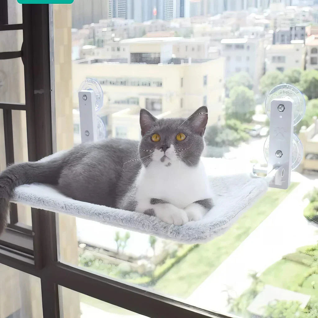 Hamac à fenêtre pliable pour chat avec housse amovible et support solide