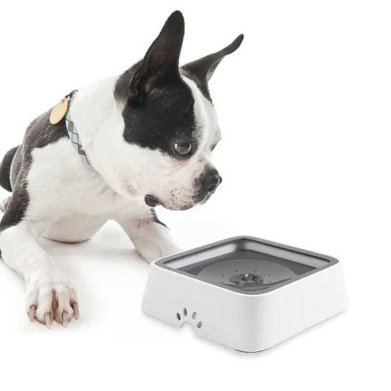 PawSip – Bol à eau liquide anti-fuite pour chiens et chats