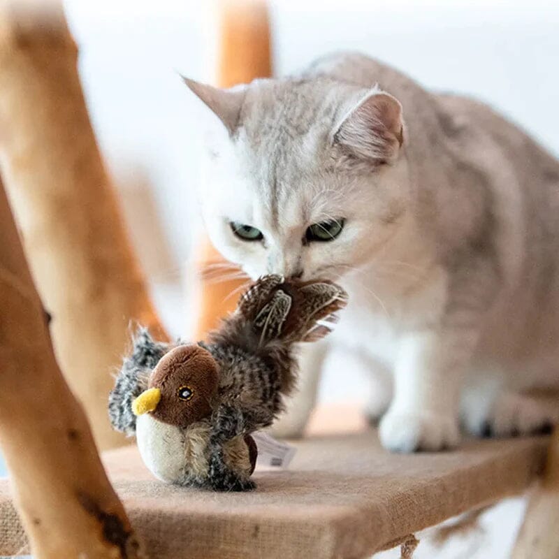 Jouet pour chat - Oiseau qui piaule en simulation