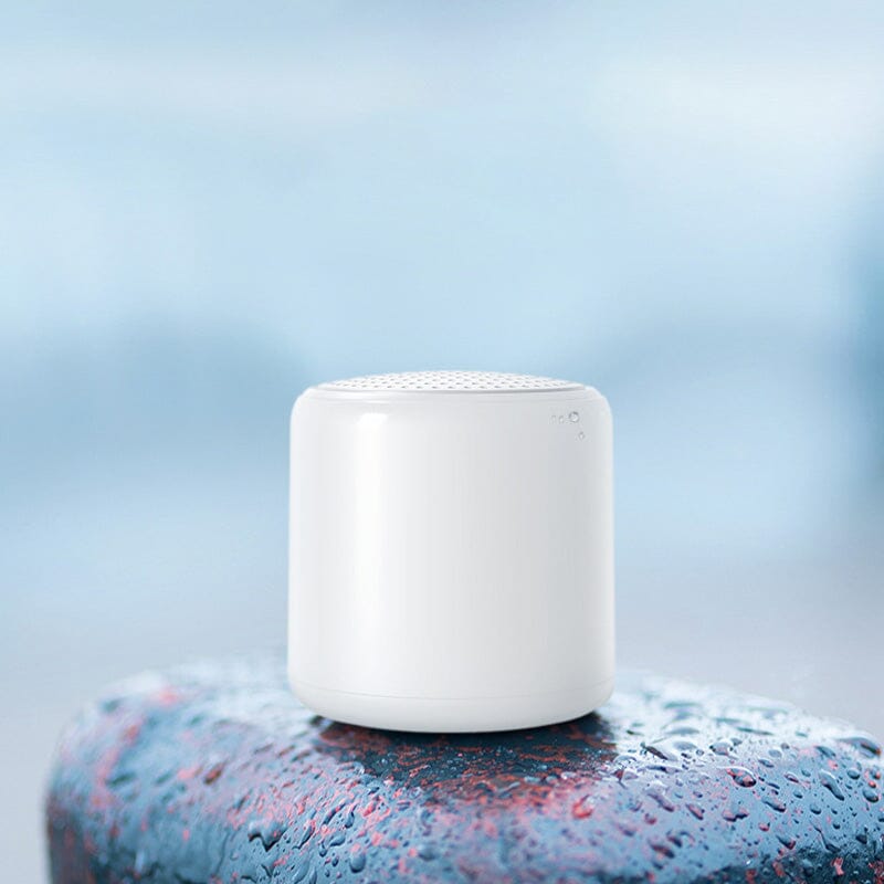 Haut-parleur Bluetooth portable