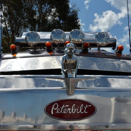 CarMascot - Décoration en chrome élégante pour canard