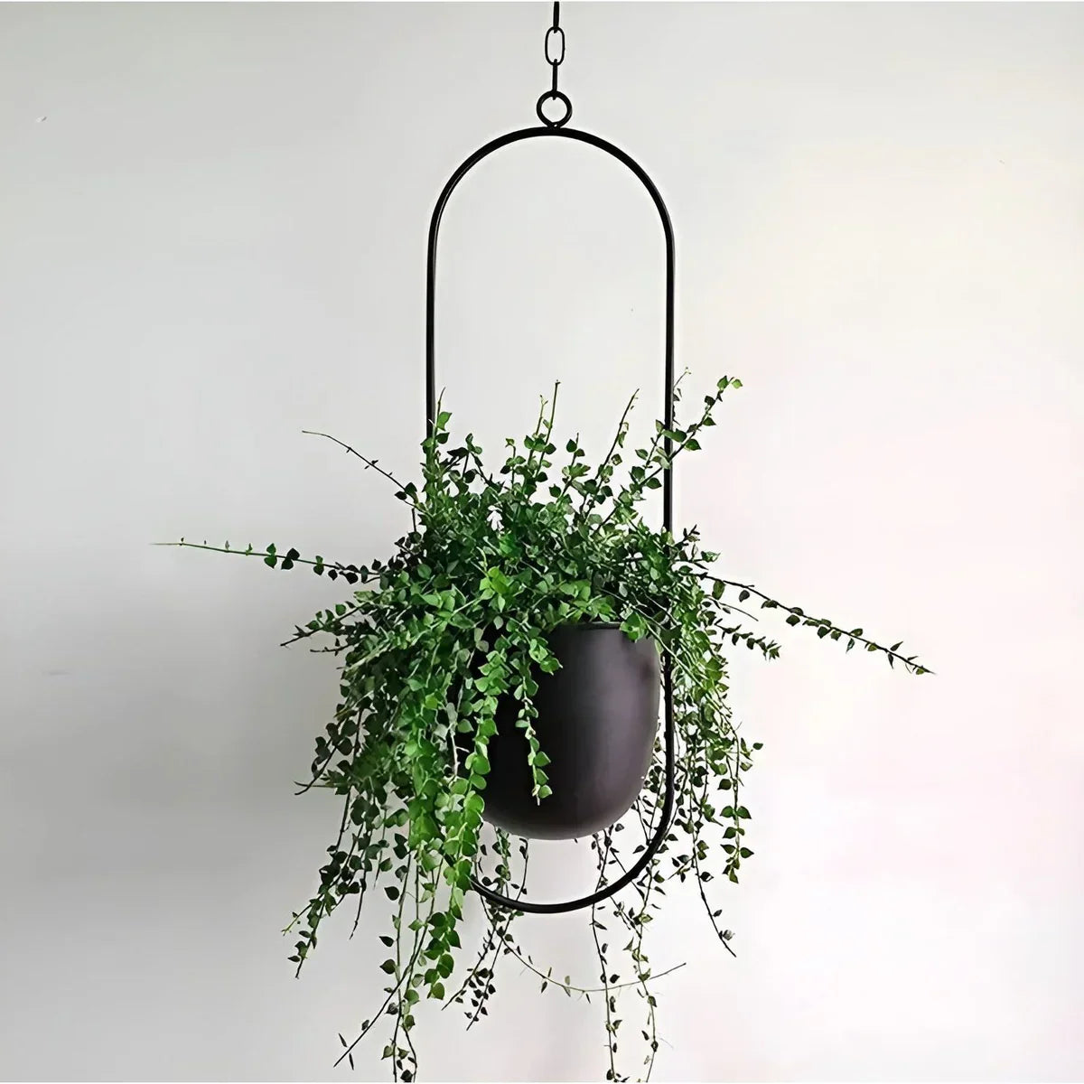 PetalAura - Jardinière Verdura Oasis