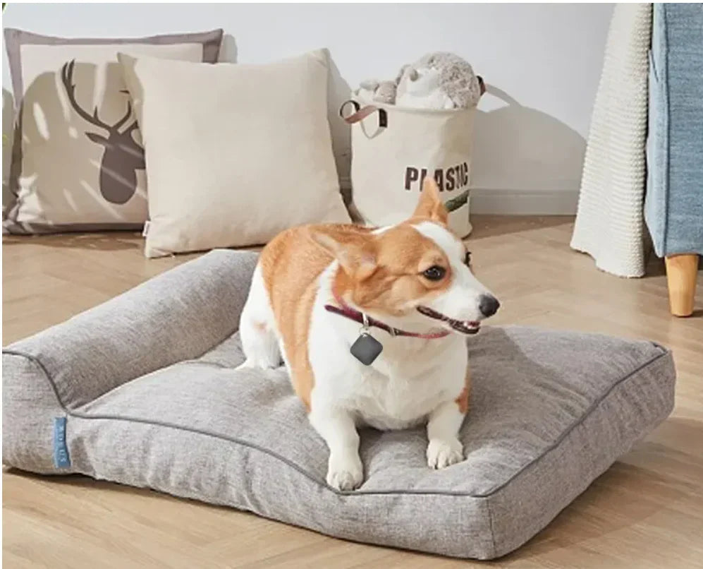 PetTrack GPS Tracker pour Chats et Chiens – Suivi GPS Précis et Facile