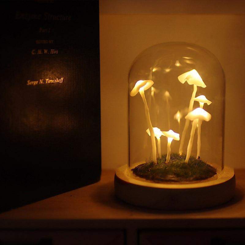 LumiTerra DIY Lumière en Verre avec Éponge