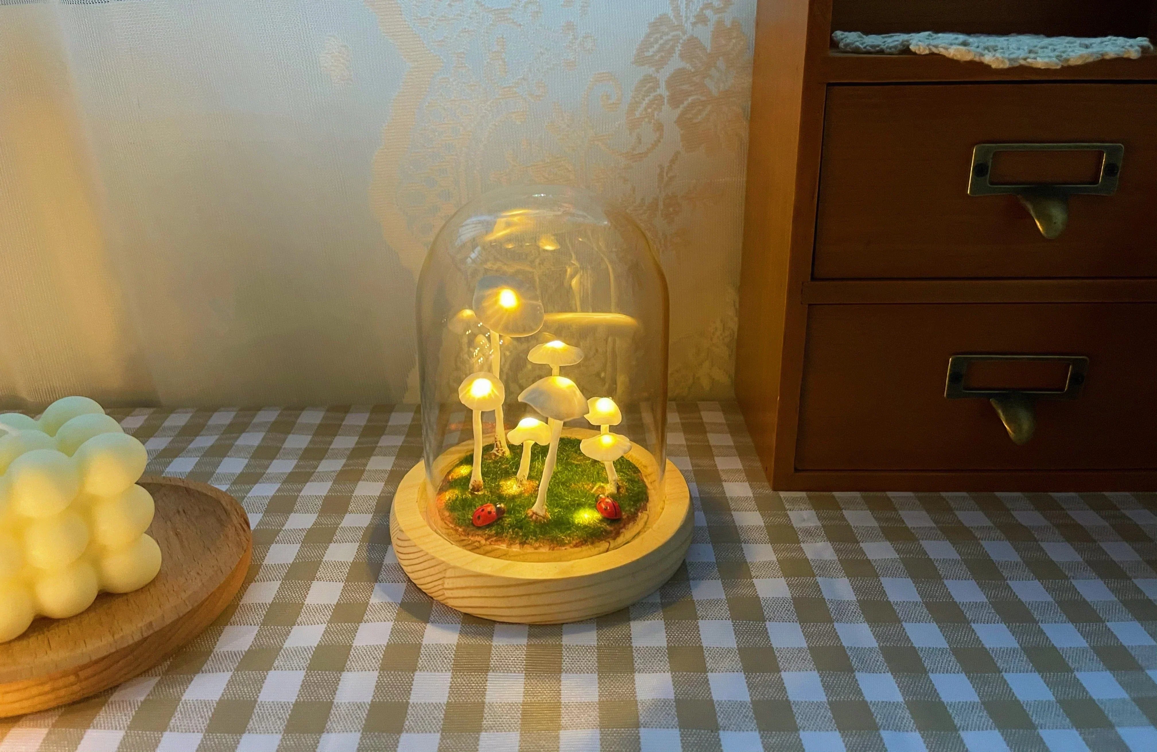 LumiTerra DIY Lumière en Verre avec Éponge