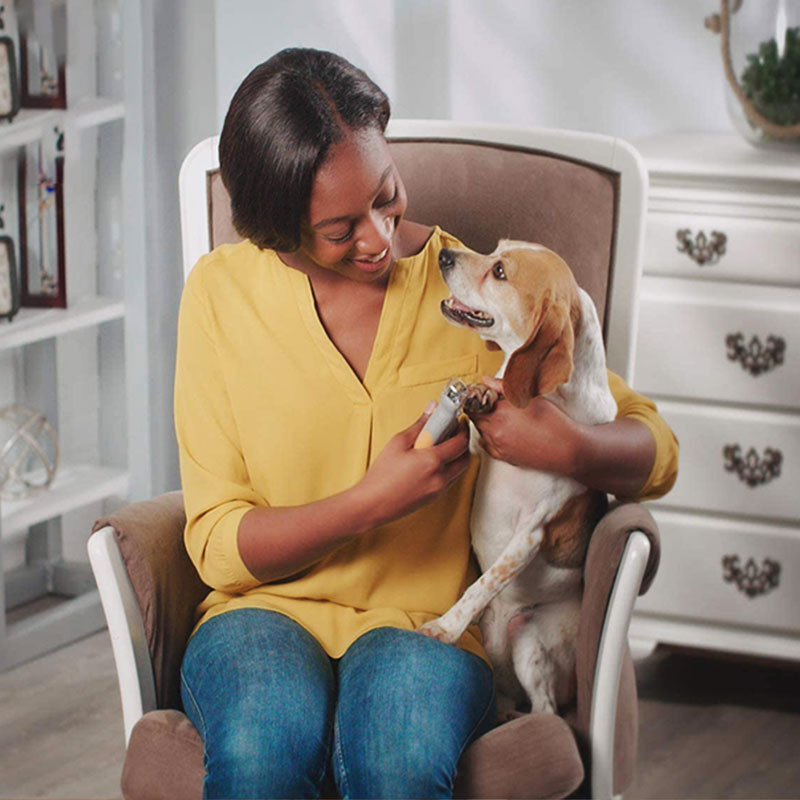 Meilleur coupe-ongles pour chiens avec capteurs rapides