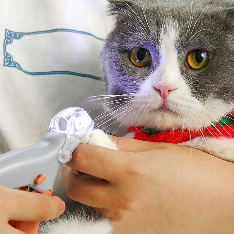Meilleur coupe-ongles pour chiens avec capteurs rapides