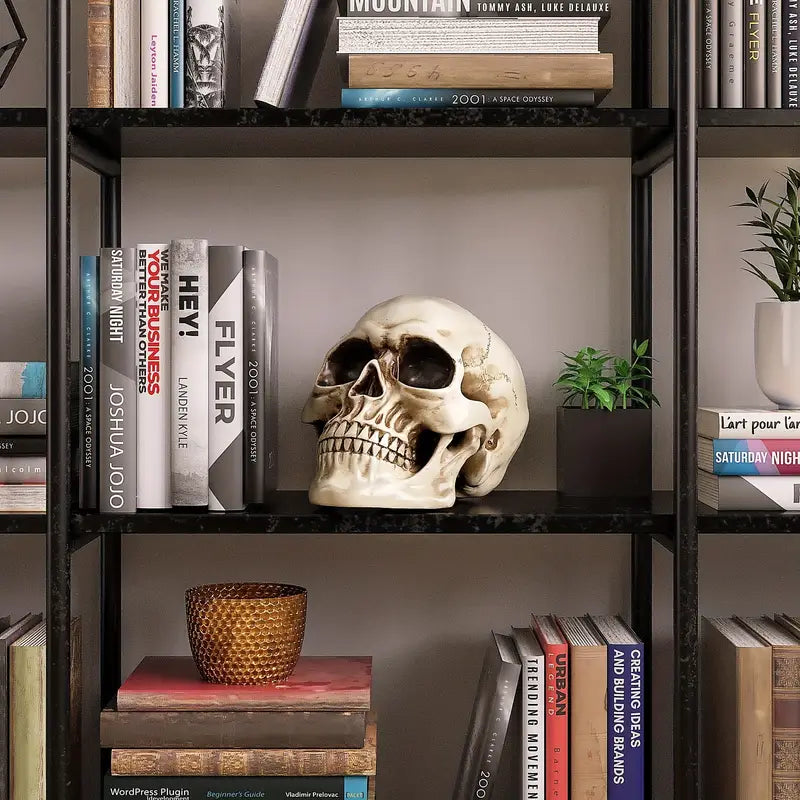 Modèle de tête d'Halloween – Décoration grandeur nature de 7 à 9 pouces pour la maison et la fête