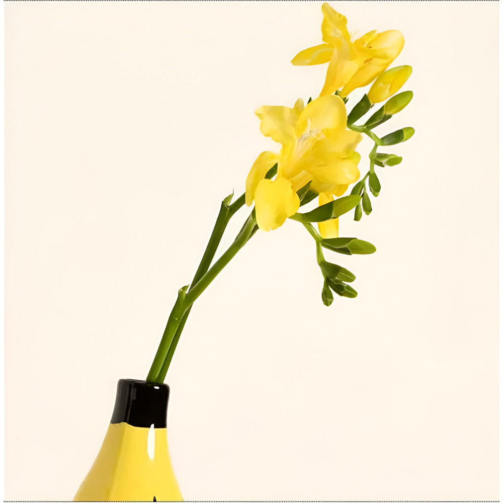 Vase de décoration moderne FormaBana