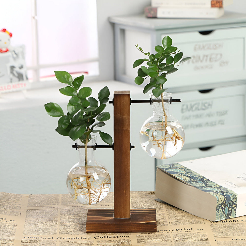 RootRise - Support de plantes moderne en bois et verre