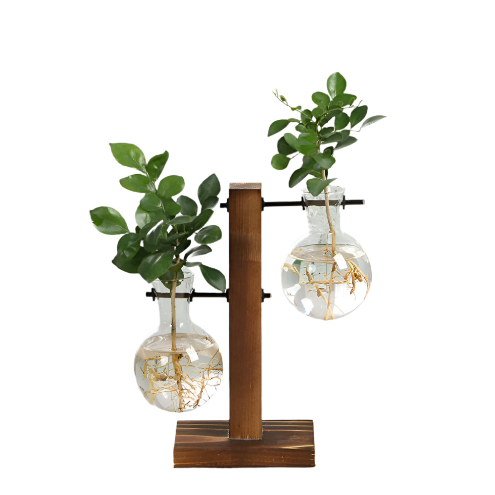 RootRise - Support de plantes moderne en bois et verre