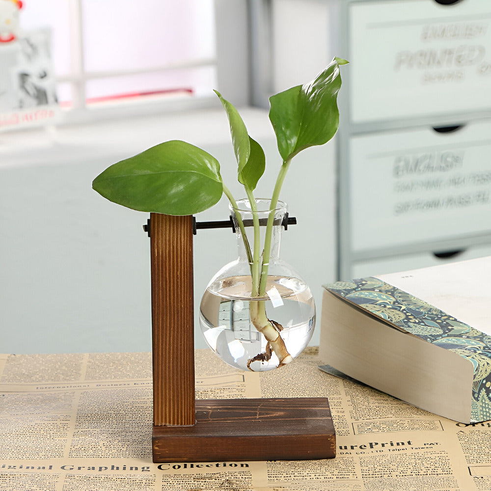 RootRise - Support de plantes moderne en bois et verre
