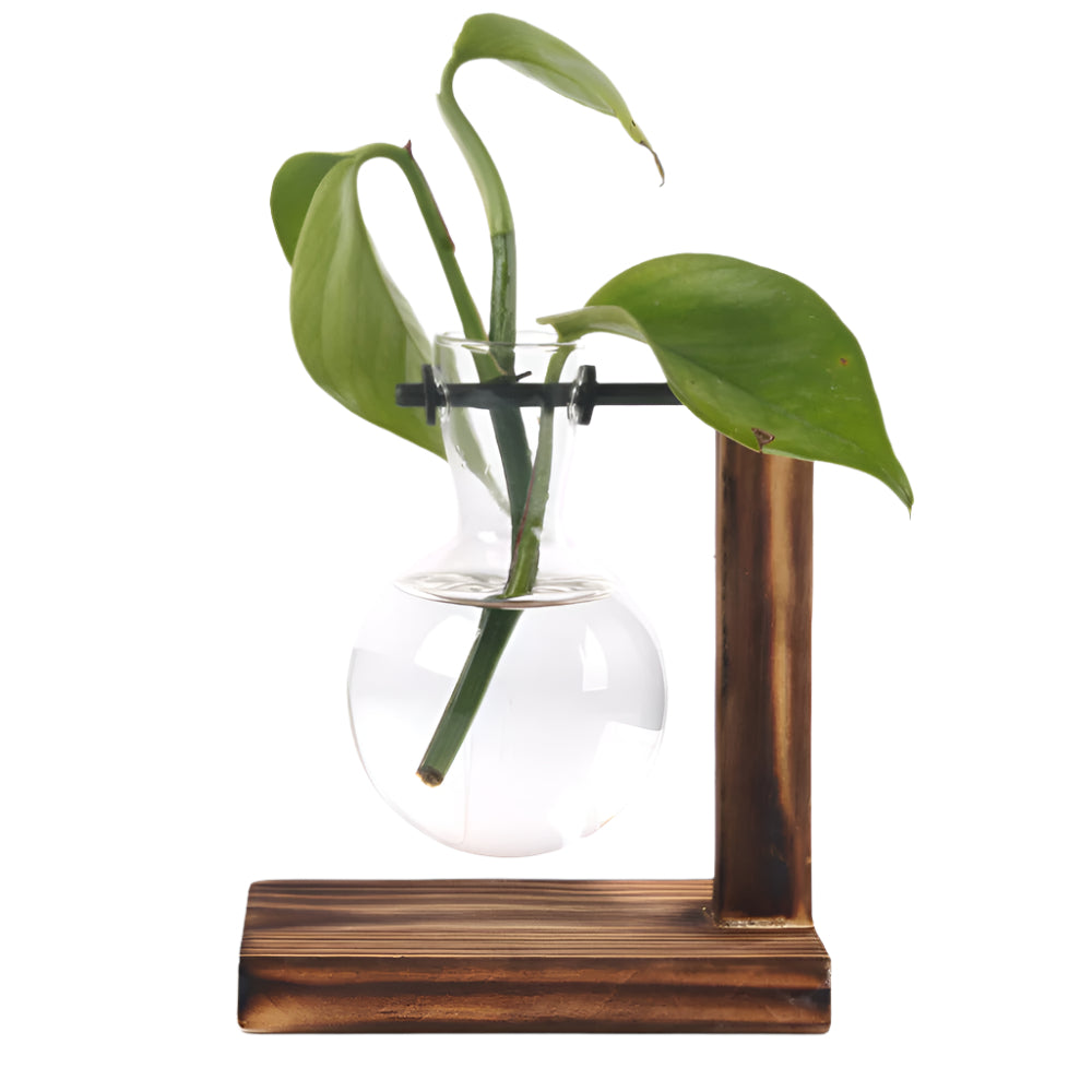 RootRise - Support de plantes moderne en bois et verre