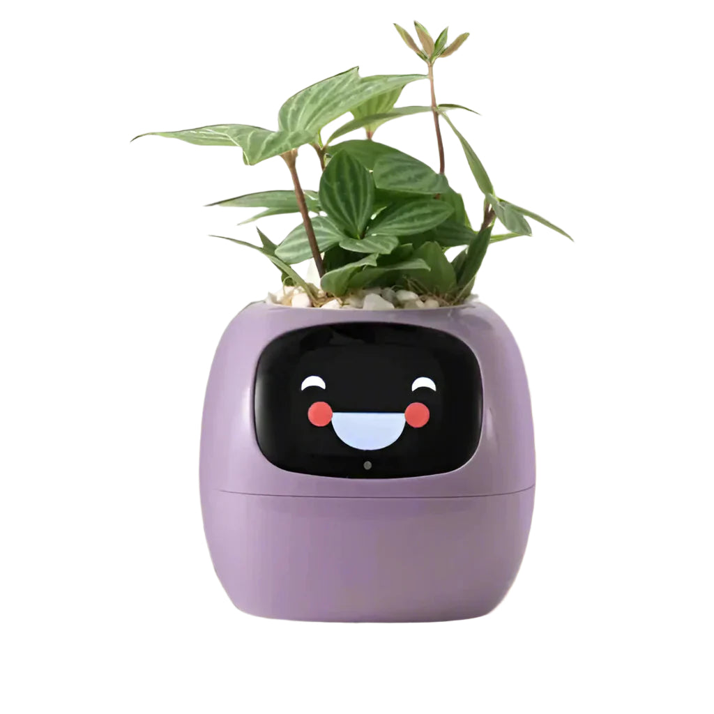PlantPal - Jardinière intelligente avec animation