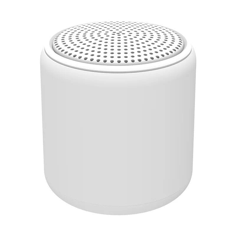 Haut-parleur Bluetooth portable