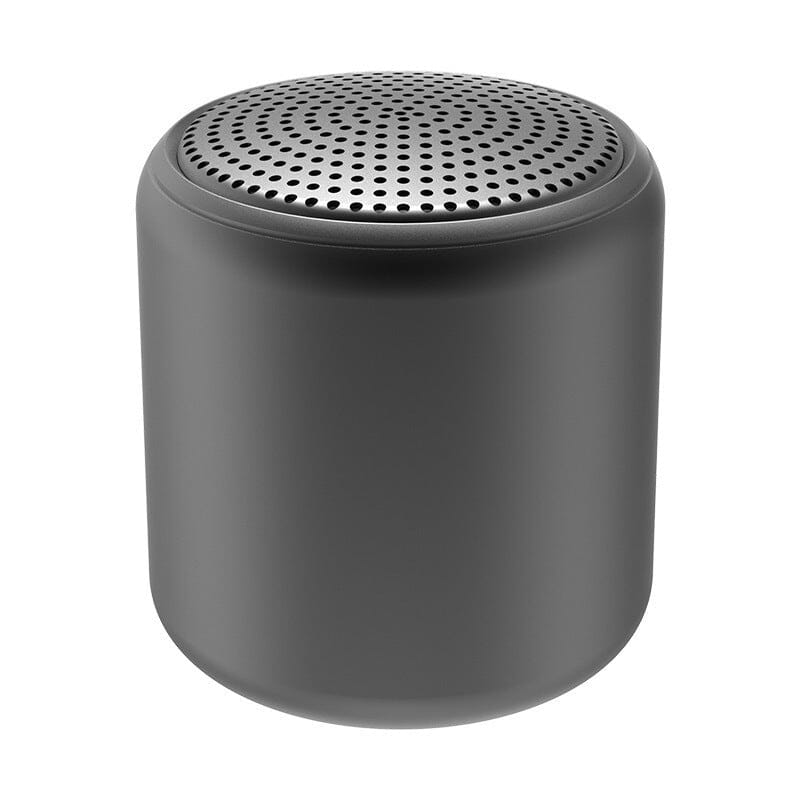 Haut-parleur Bluetooth portable