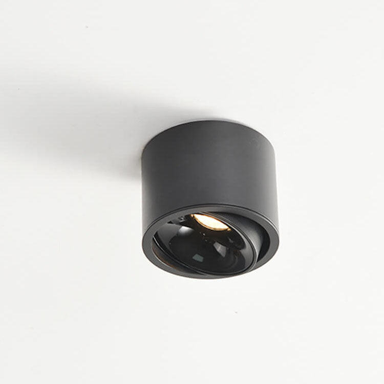 Lampe réglable Lumavision pour la lumière naturelle