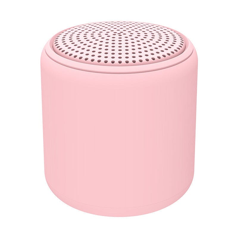 Haut-parleur Bluetooth portable