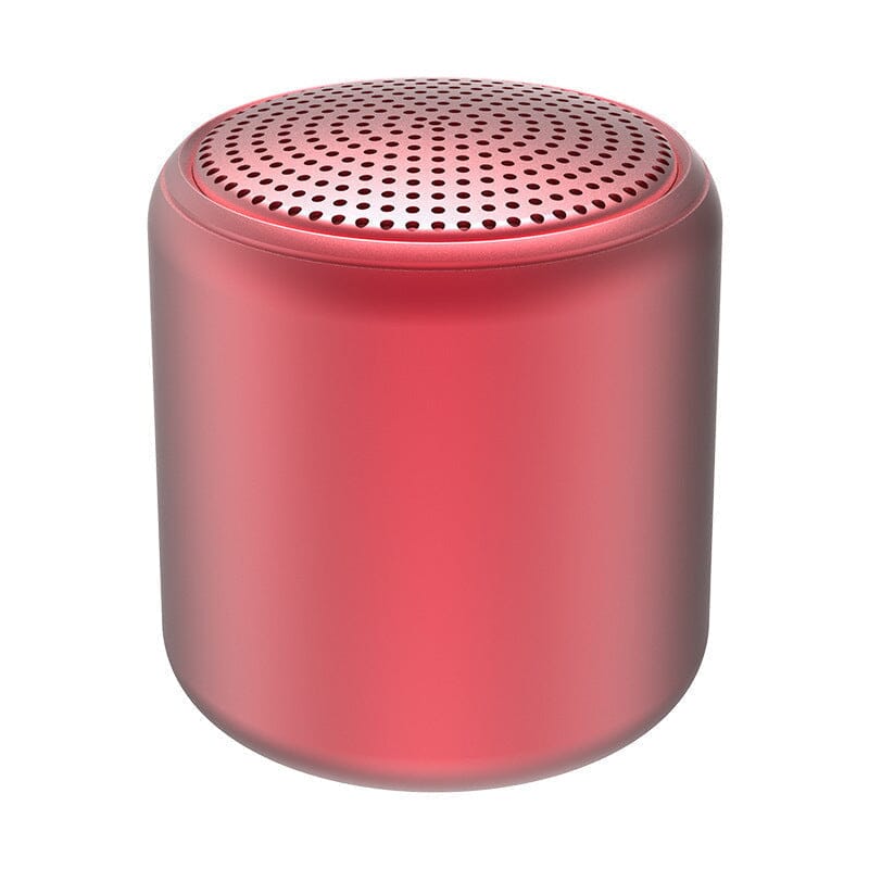 Haut-parleur Bluetooth portable