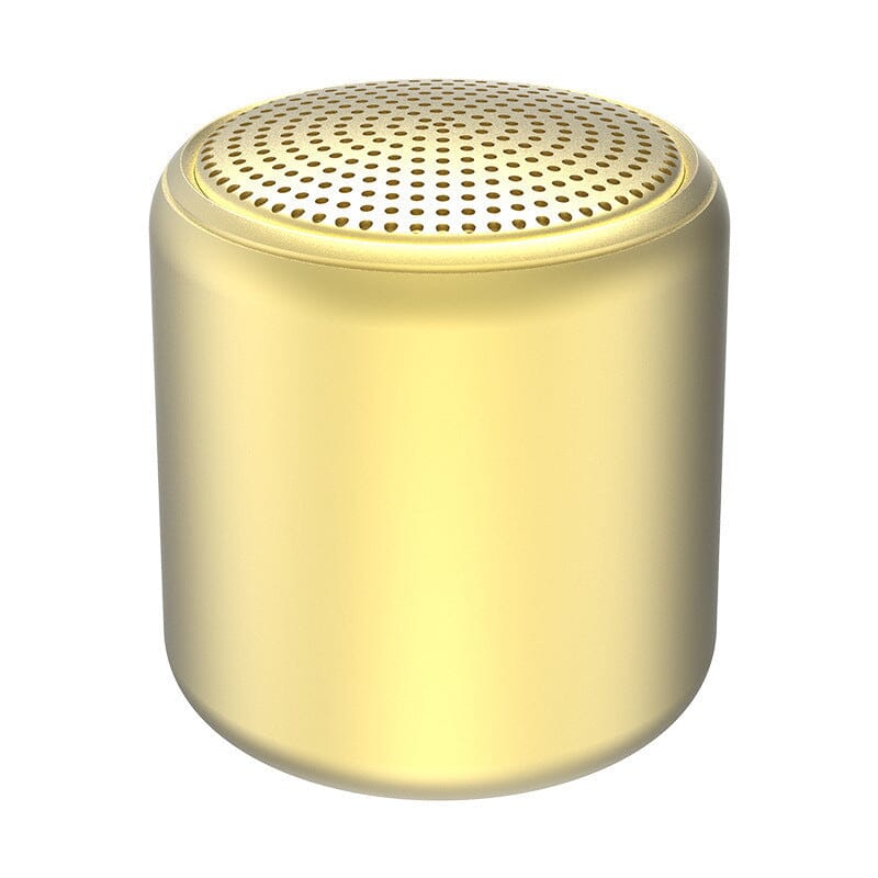 Haut-parleur Bluetooth portable