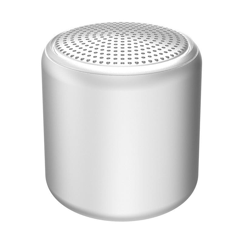 Haut-parleur Bluetooth portable