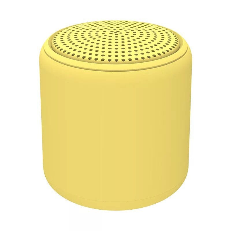Haut-parleur Bluetooth portable