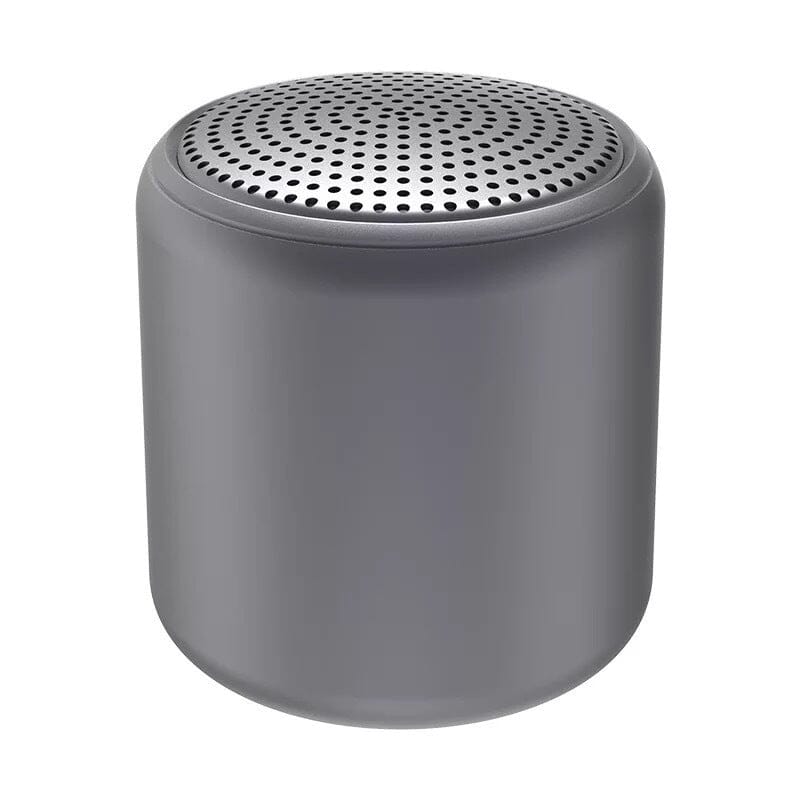 Haut-parleur Bluetooth portable