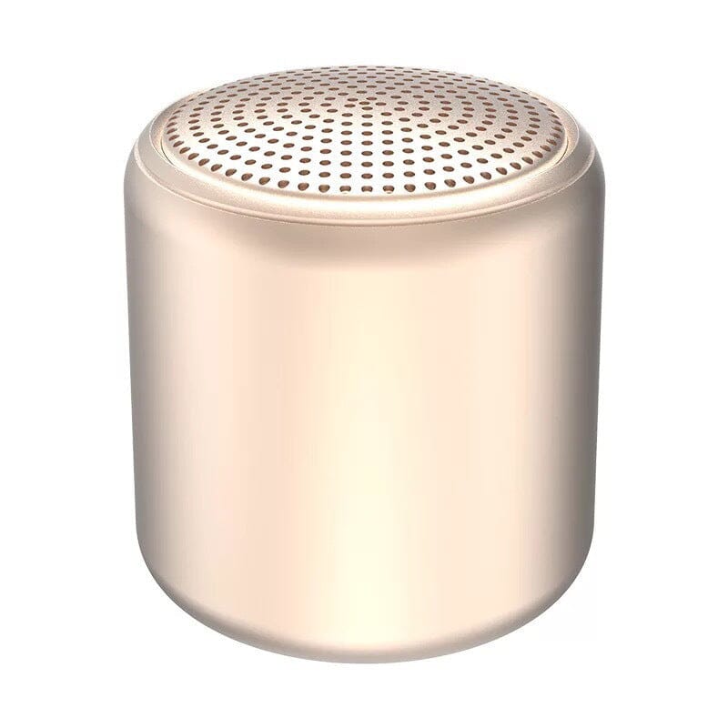 Haut-parleur Bluetooth portable