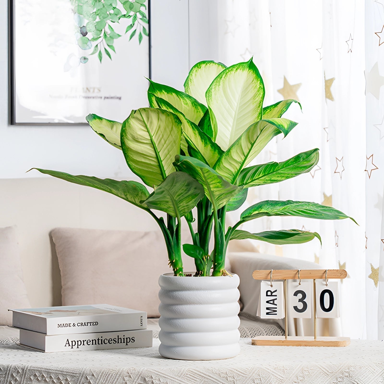 PureLeaf – Plante d’intérieur élégante, fraîche et purifiante