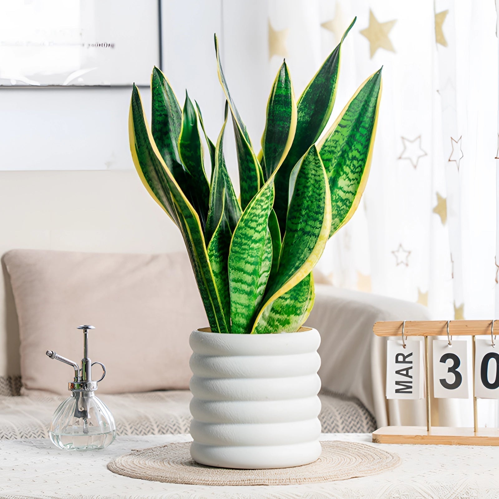 PureLeaf – Plante d’intérieur élégante, fraîche et purifiante