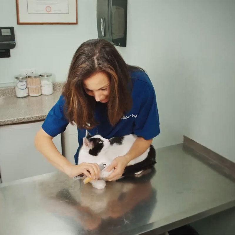 Meilleur coupe-ongles pour chiens avec capteurs rapides