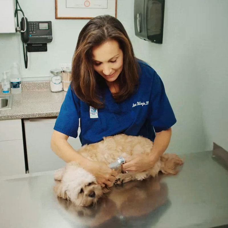 Meilleur coupe-ongles pour chiens avec capteurs rapides