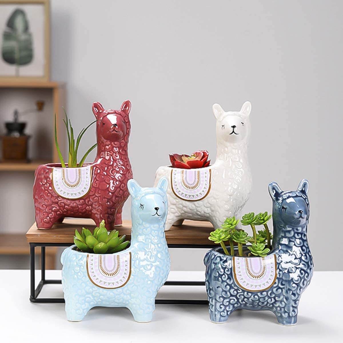 Pot de plante succulente en céramique avec motif animal