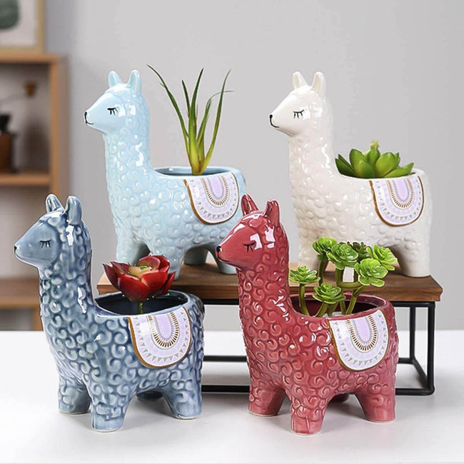 Pot de plante succulente en céramique avec motif animal