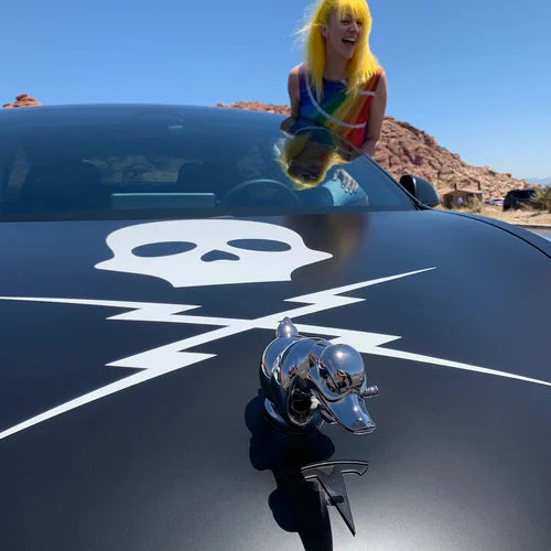 CarMascot - Décoration en chrome élégante pour canard
