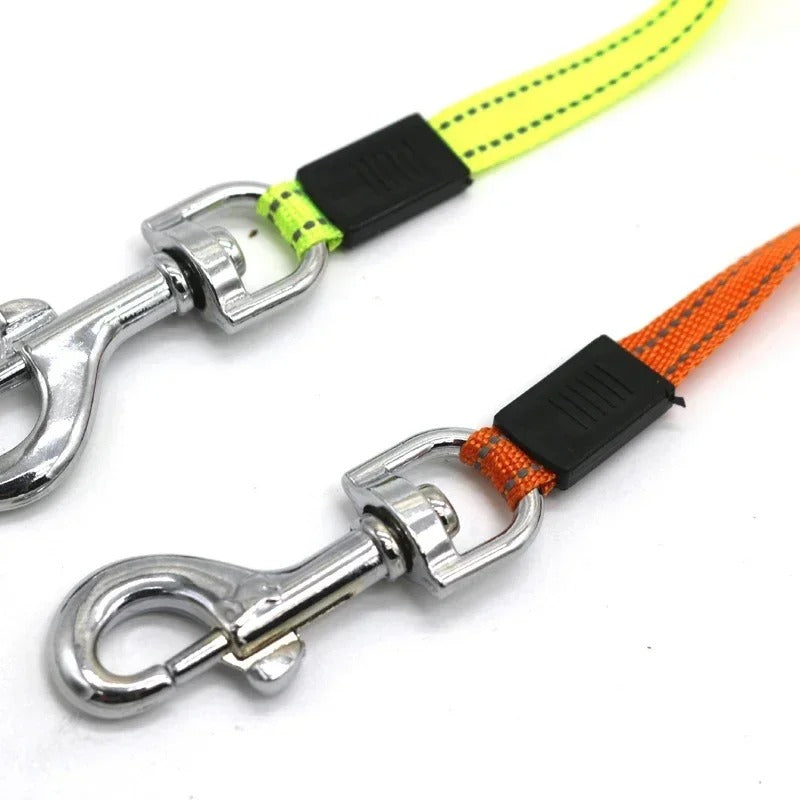 LumiLeash 2-en-1 Laisse Double pour Chien avec Lampe LED et Distributeur de Sacs à Déchets