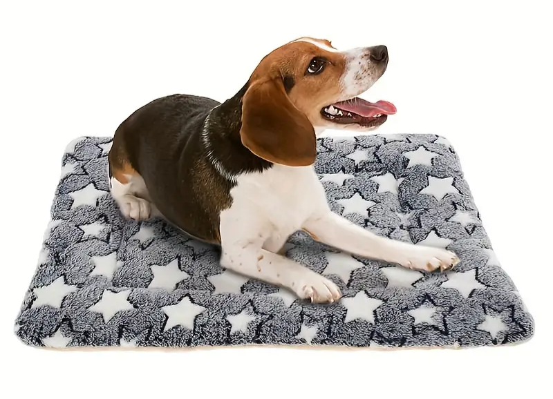 Tapis de sommeil en peluche pour chien Paw Soft